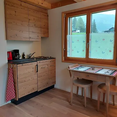 Daire Laerchehuus By Interhome Adelboden