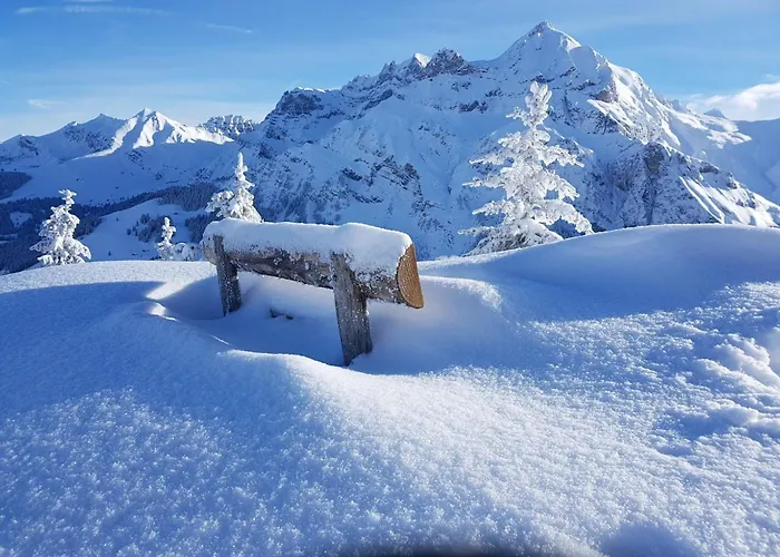 Laerchehuus By Interhome דירה אדלבודן