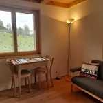 Lägenhet Laerchehuus By Interhome Adelboden