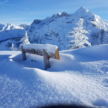 Laerchehuus By Interhome Lägenhet Adelboden