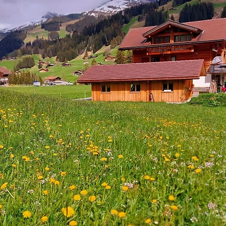 Lägenhet Laerchehuus By Interhome Adelboden