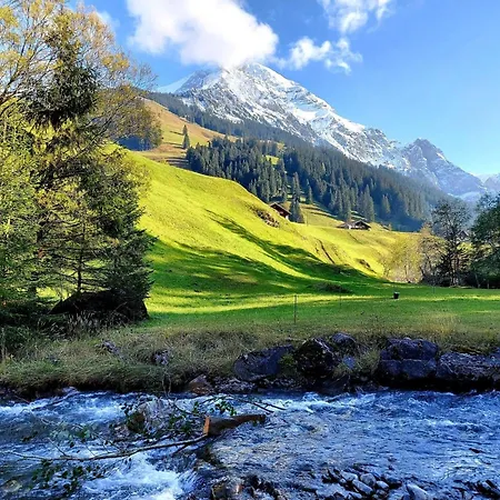 Laerchehuus By Interhome Adelboden