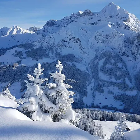 Appartement Laerchehuus By Interhome *